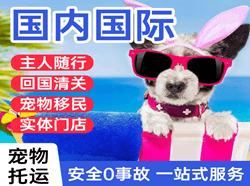 格尔木机场空运国际宠物托运 【国